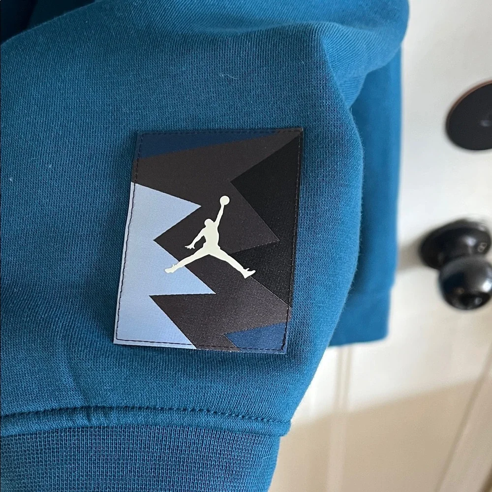 Jordan Teal Hoodie with Black and Gold Logo nwt - Picture 3 of 5